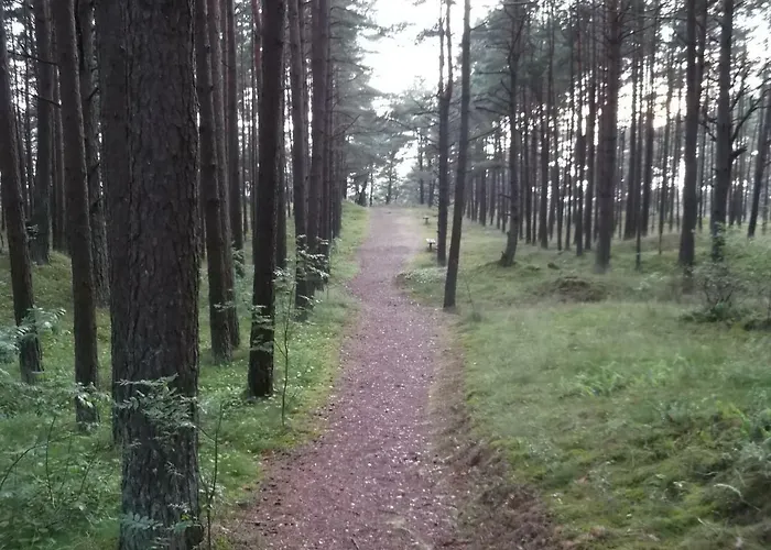 Kunigiskes103 * Palanga